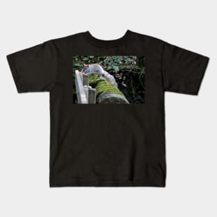 Squirrel Impossible Kids T-Shirt